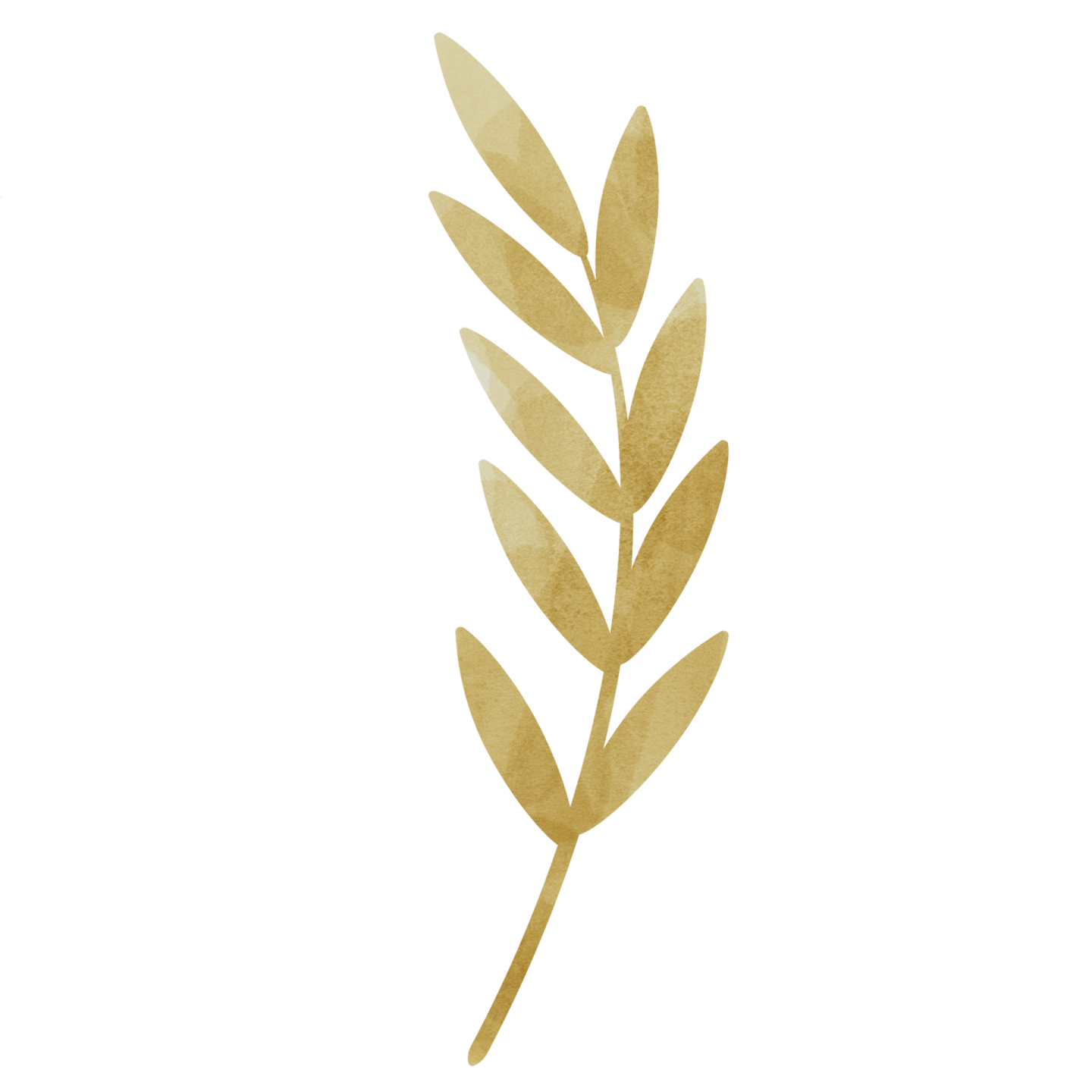 a gold leaf on a white background