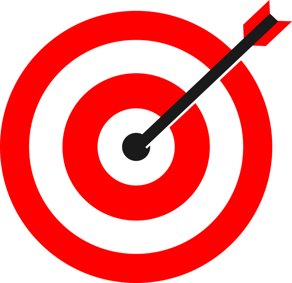 a red target with an arrow in the center