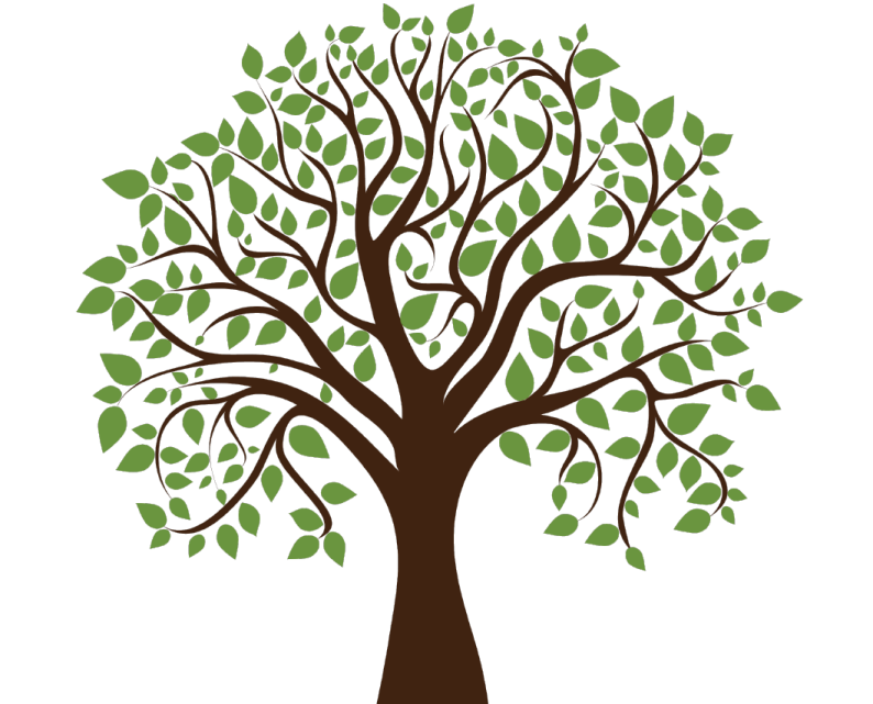 a tree with green leaves on it