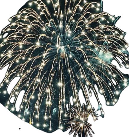 a large black firework with white lights