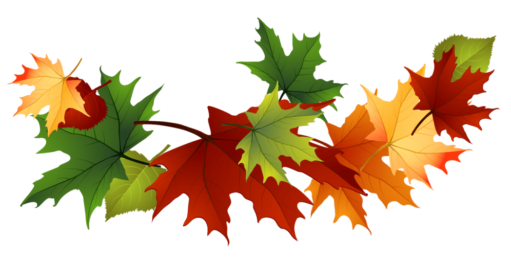 a bunch of autumn leaves