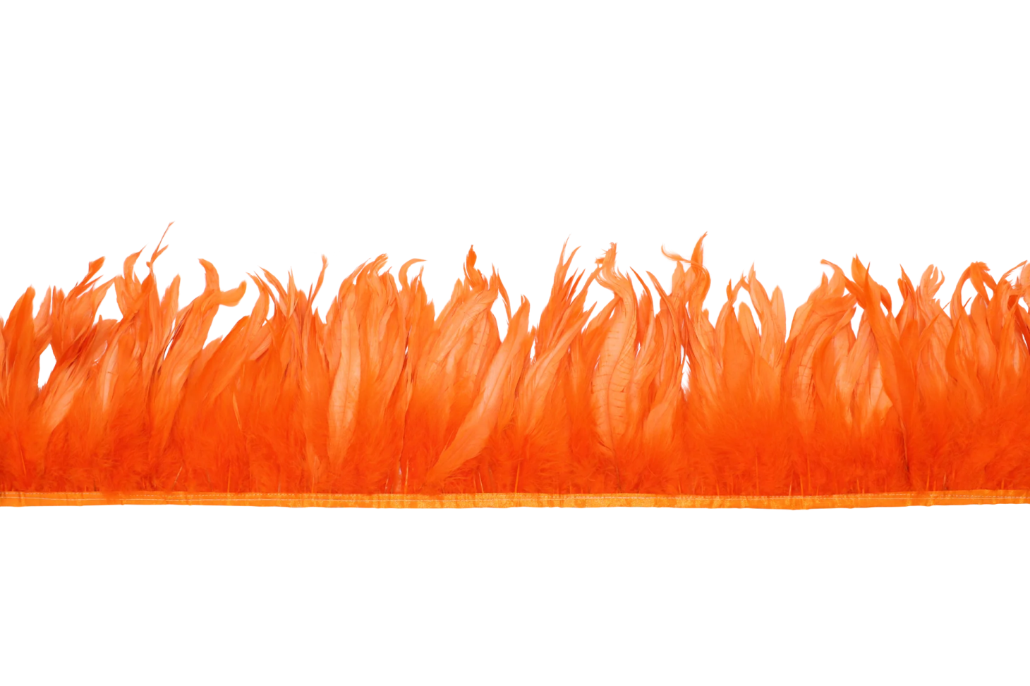 orange feathers on a white background