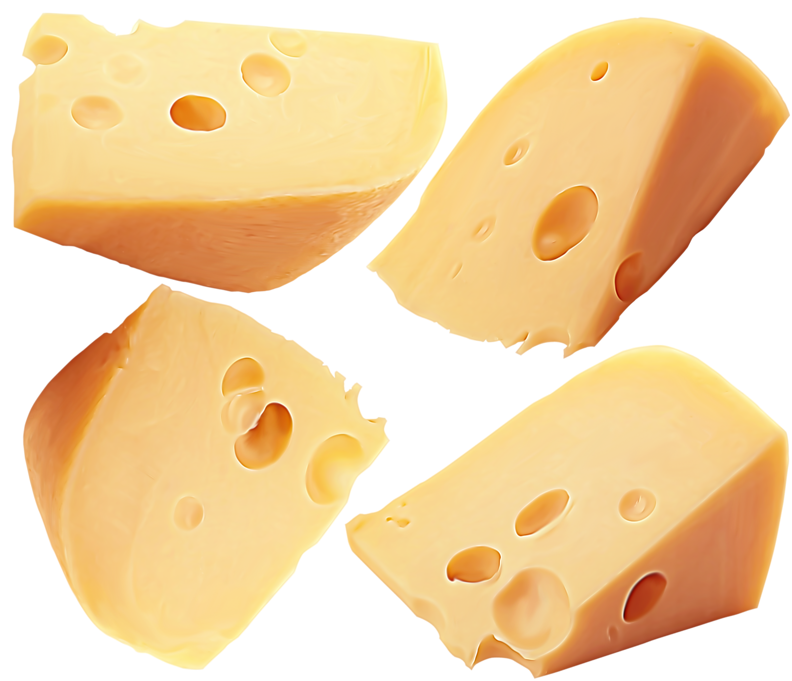 four pieces of cheese on a white background