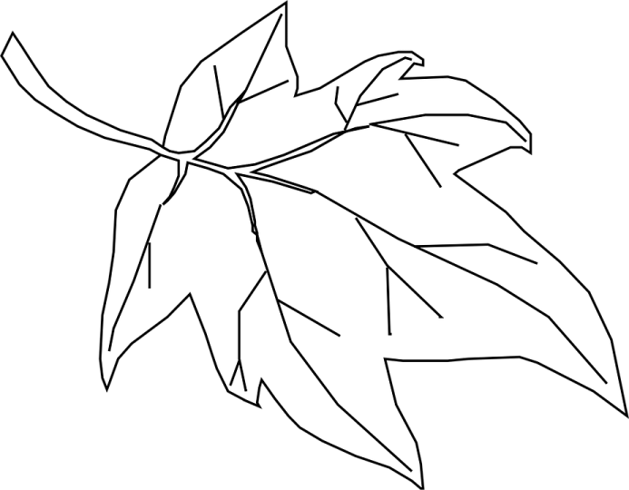 a black and white drawing of a leaf