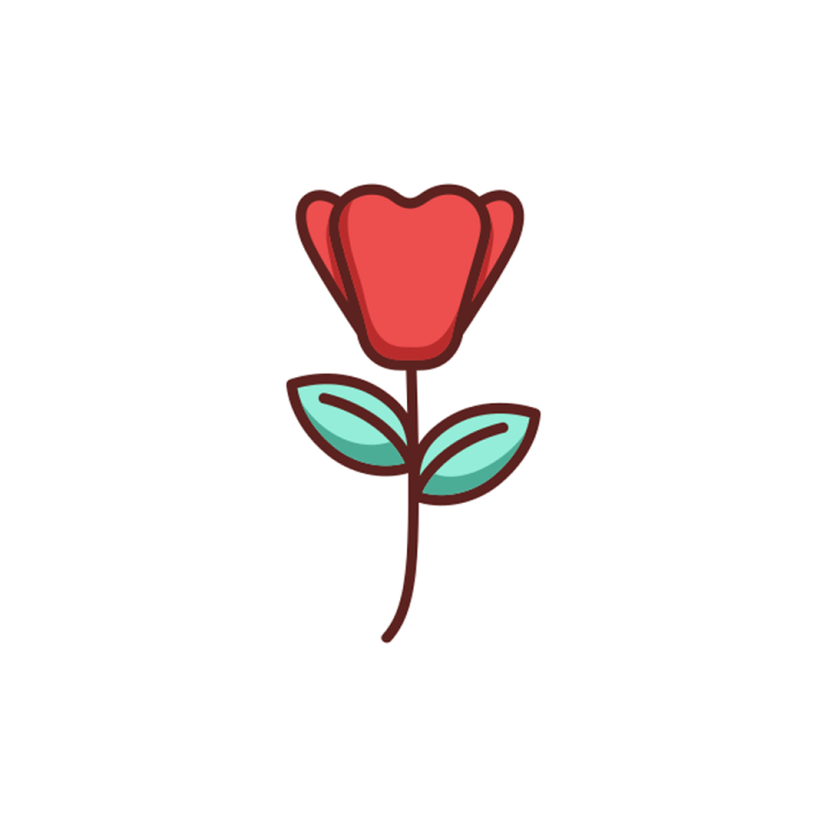 a red rose on a white background