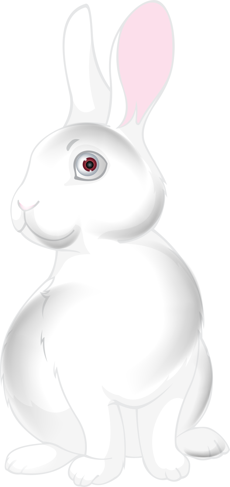 a white rabbit with pink ears