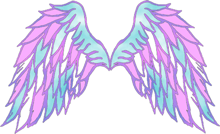 a pair of pink and blue wings