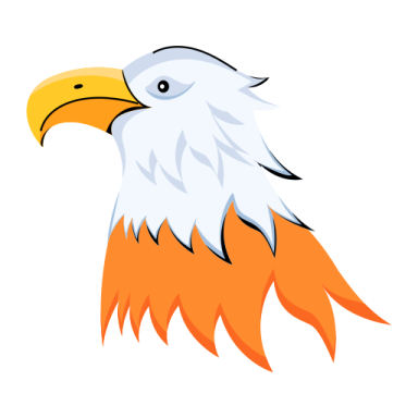 an eagle head with orange and white feathers
