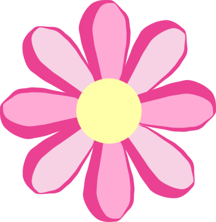 a pink flower with yellow center