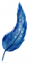 a blue feather on a white background