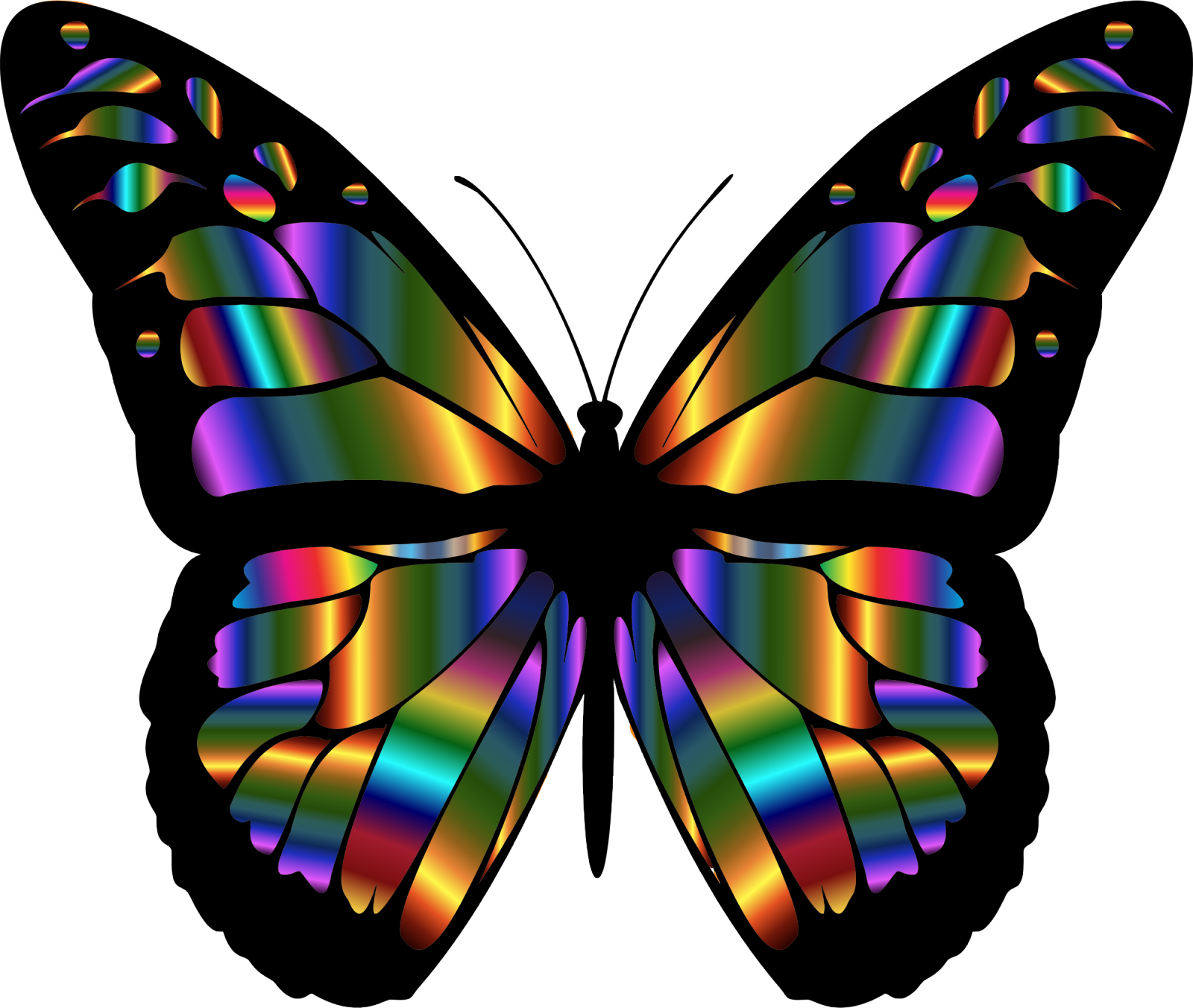 a rainbow colored butterfly