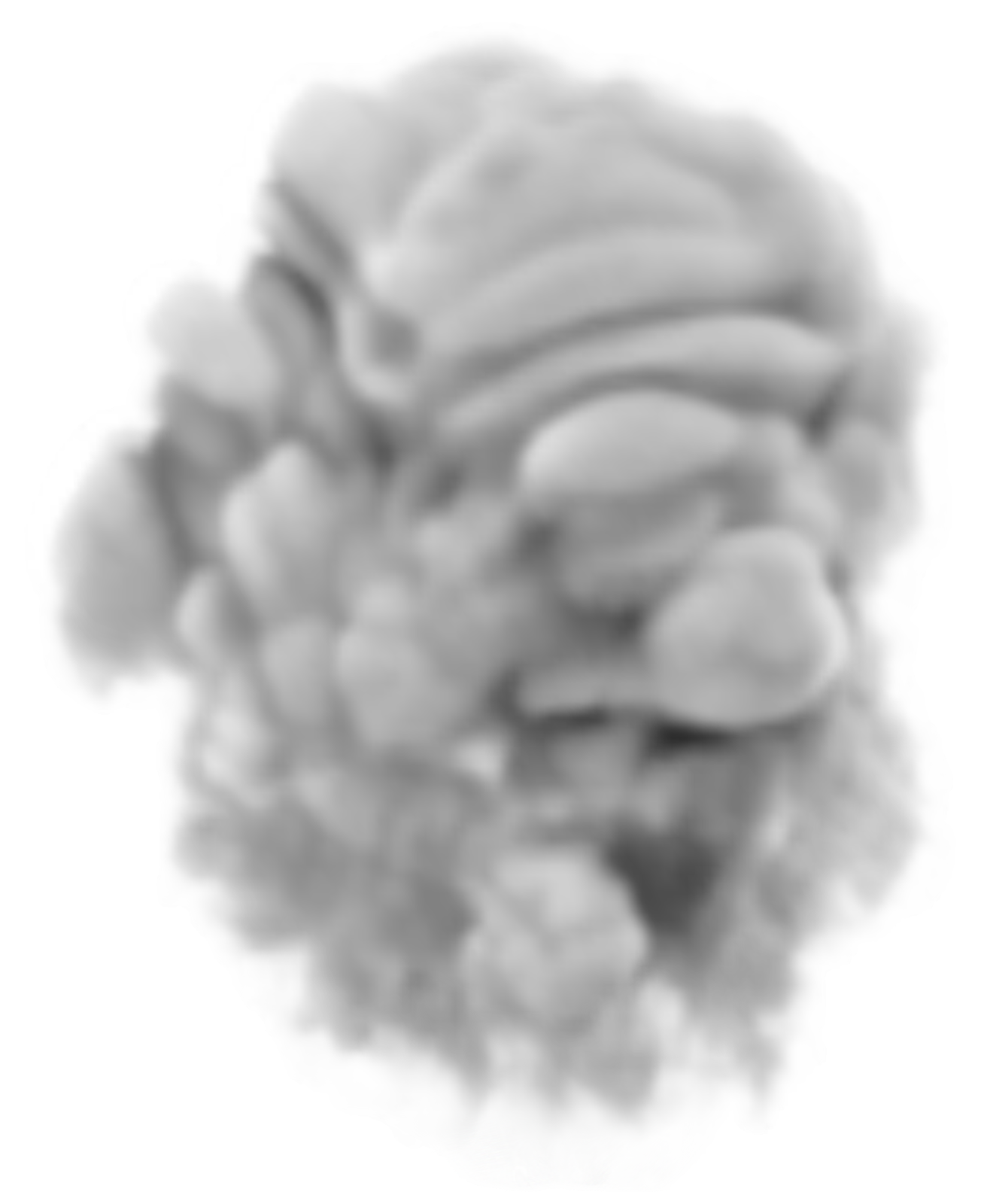 a pile of smoke on a white background