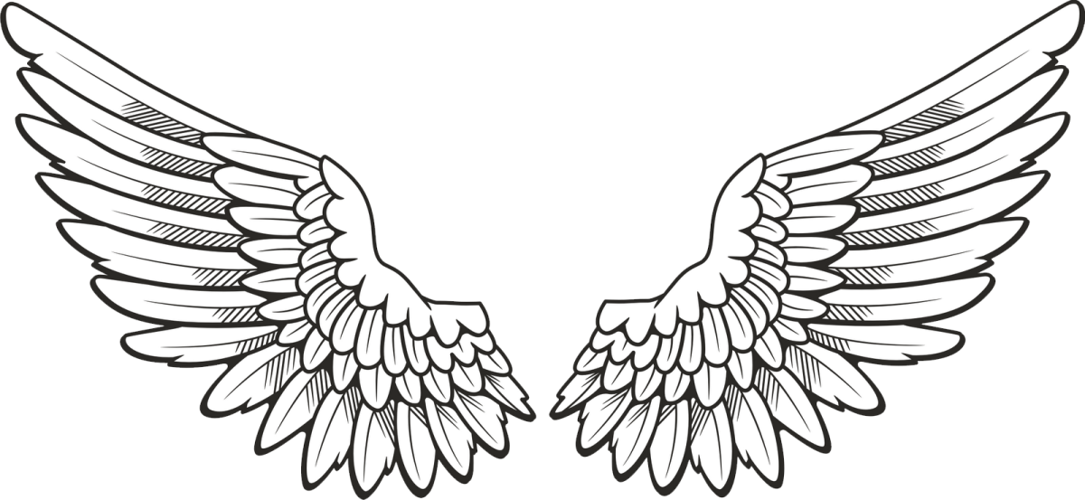 a pair of wings on a white background