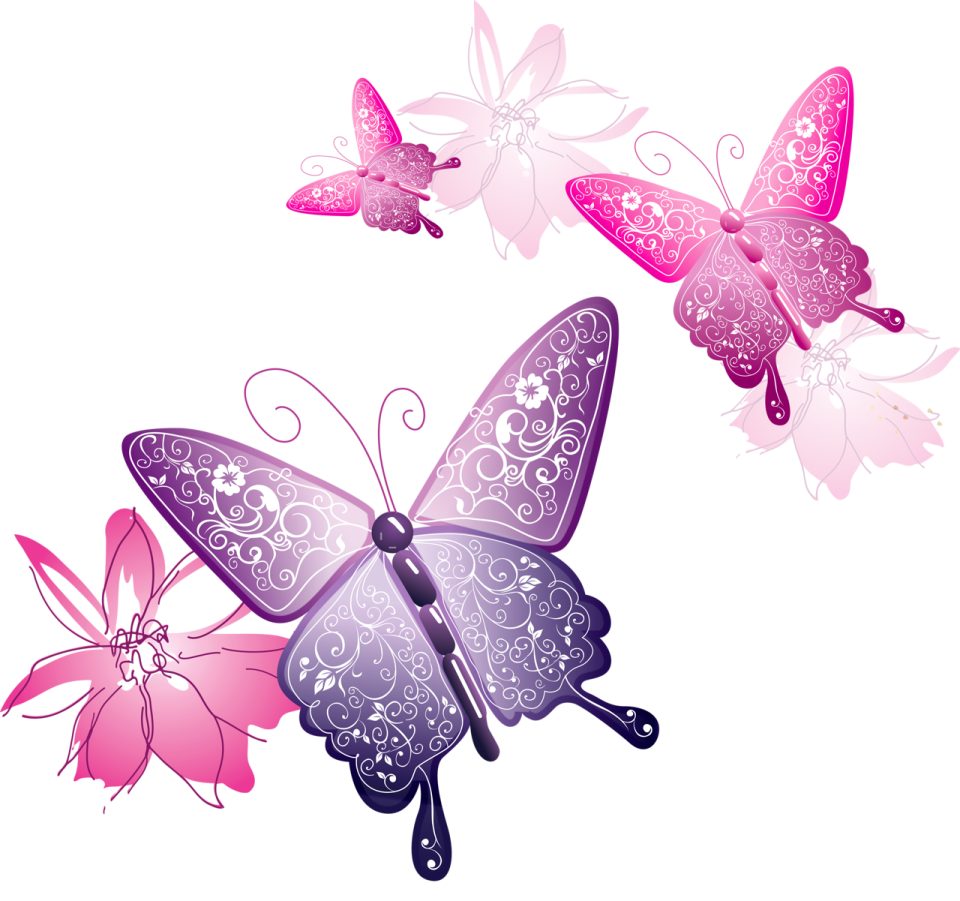 a group of butterflies on a white background