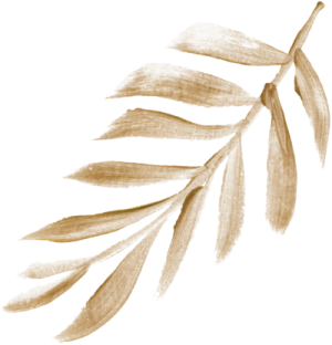 a drawing of a leaf on a white background