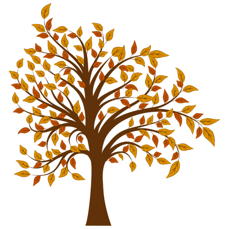 a tree with leaves on it