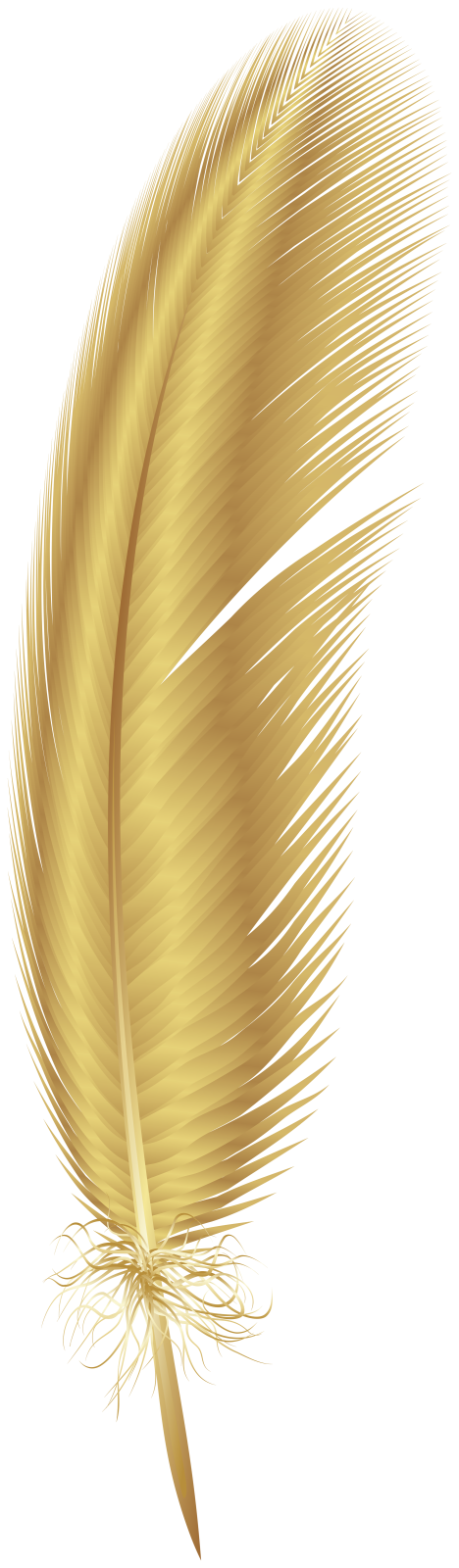 a golden feather on a white background