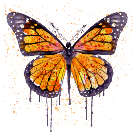 a watercolor painting of a butterfly