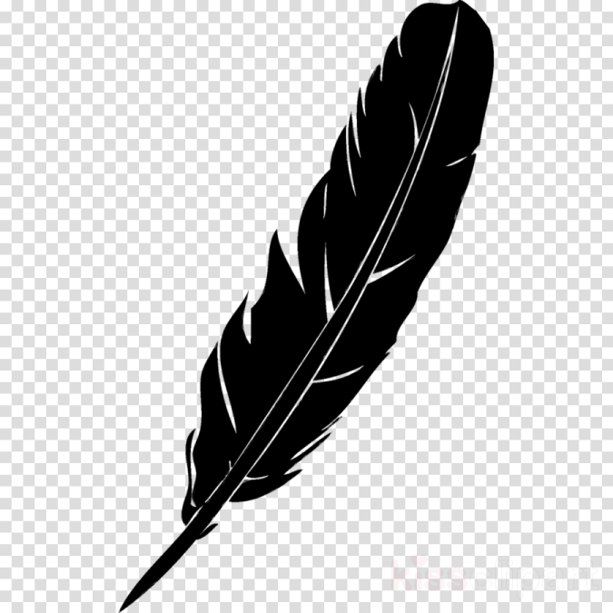 a black feather on a transparent background