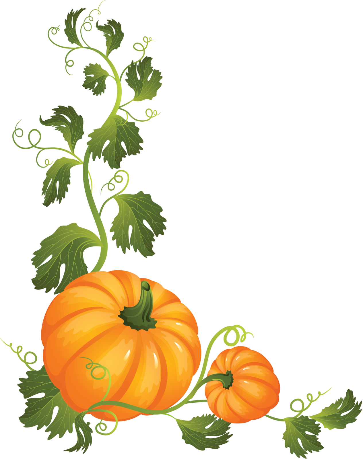 a bunch of pumpkins with leaves and vines