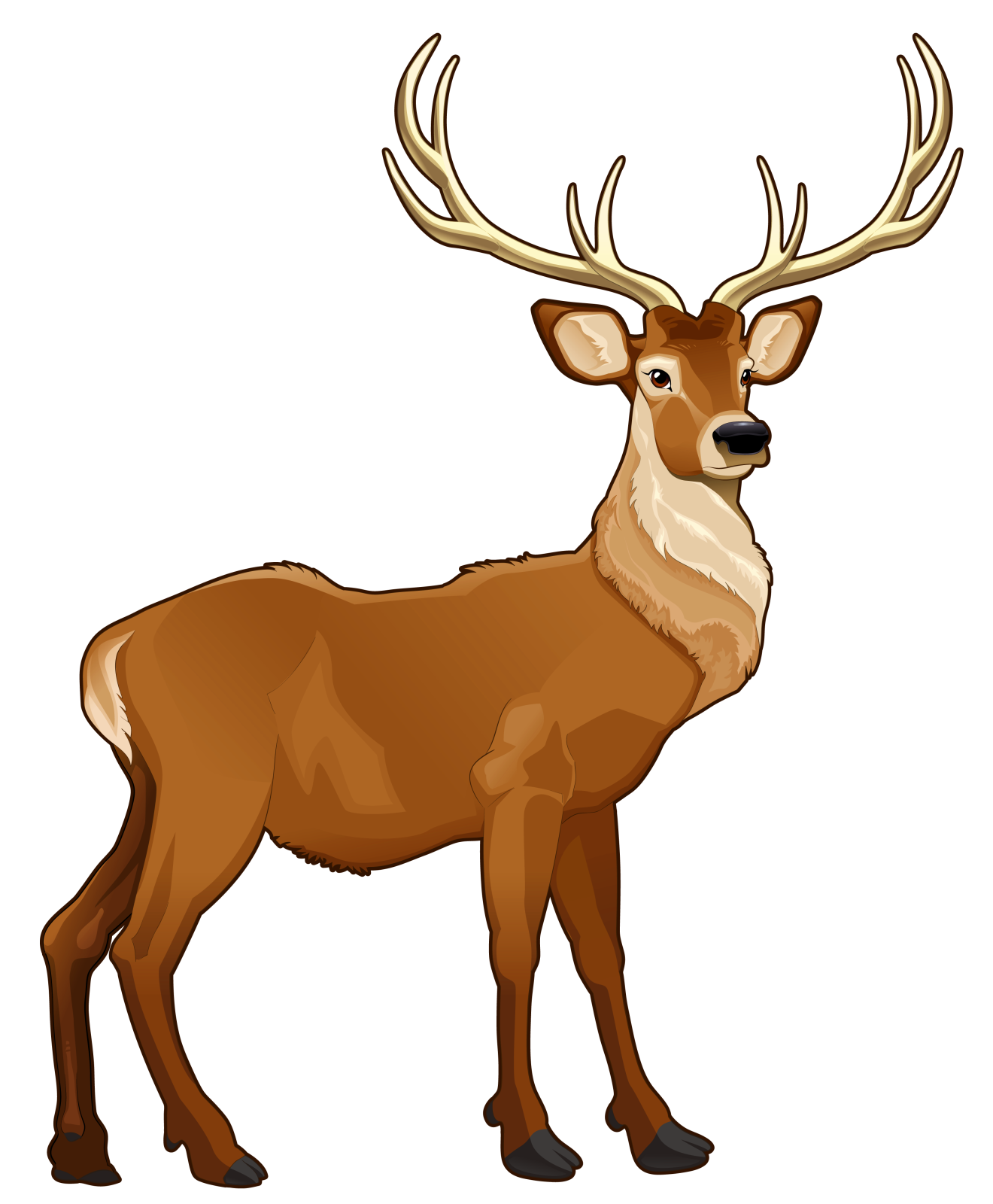 a brown deer standing on a white background