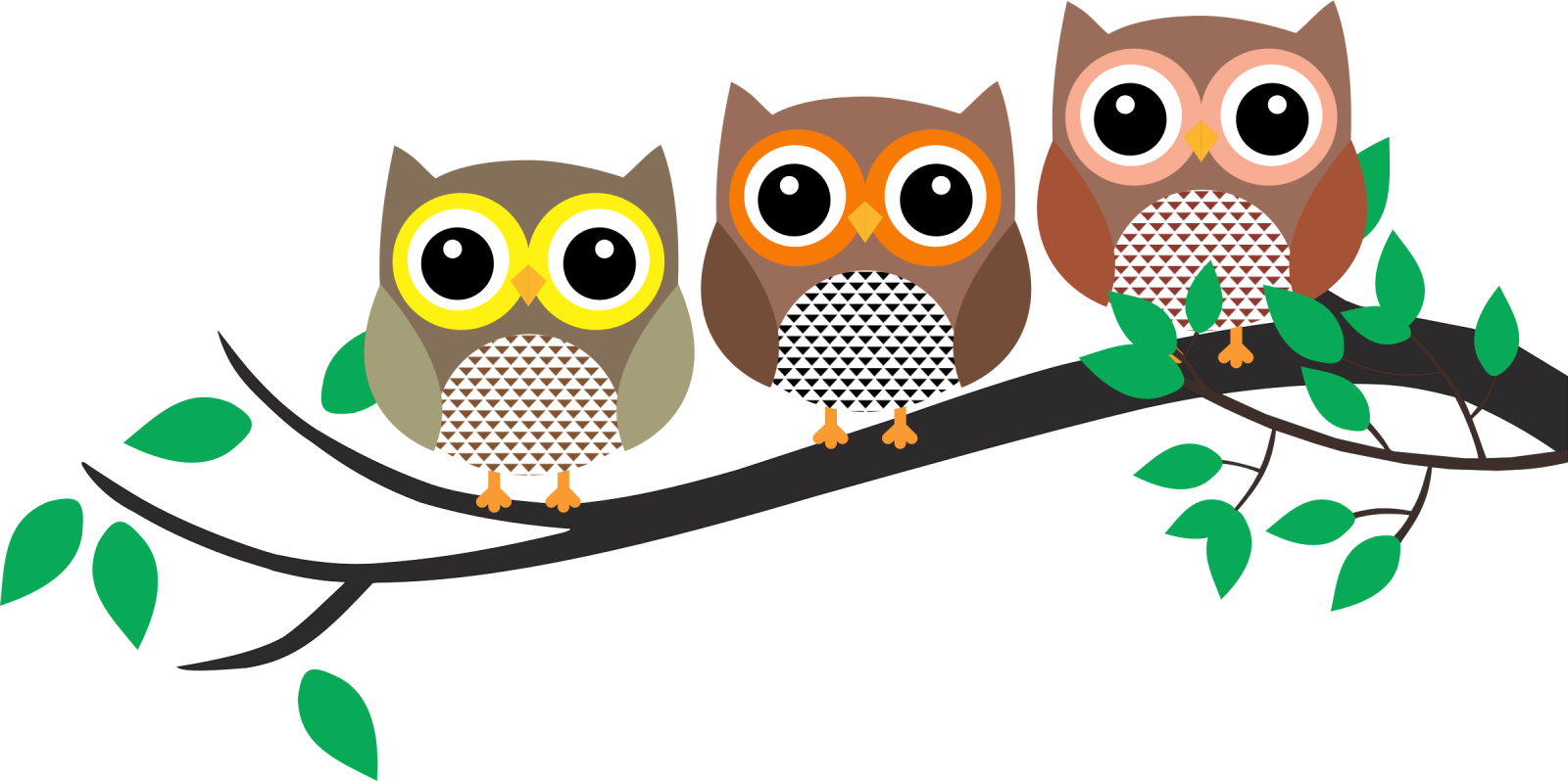 three owls sitting on a branch