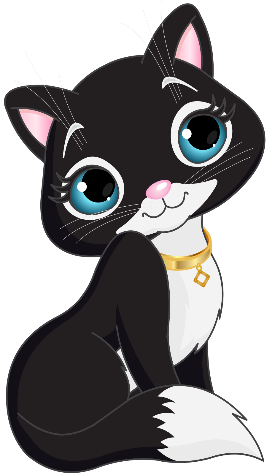 a black and white cat with blue eyes