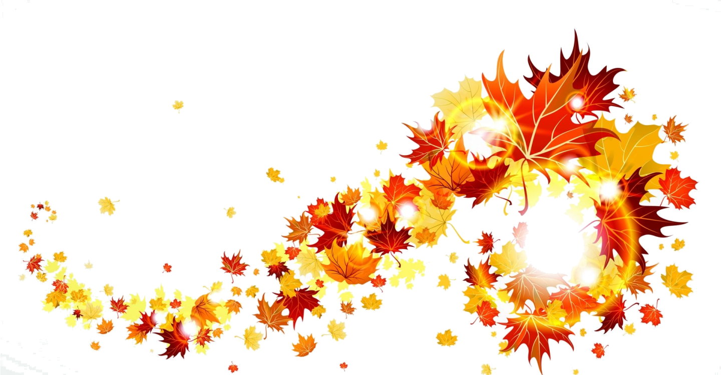 an image of a bunch of autumn leaves