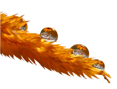 an orange feather with three spheres on it