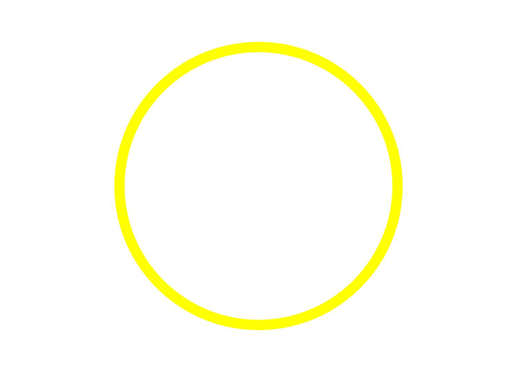 a black oval frame on a white background