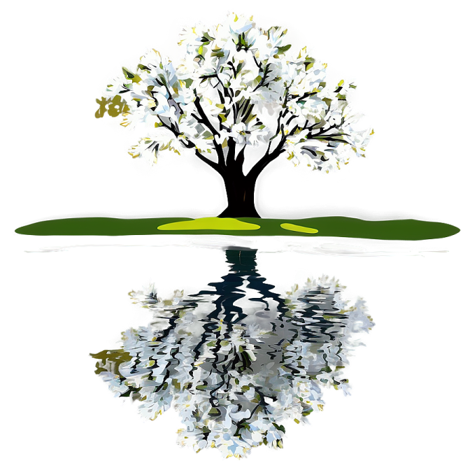 a tree with white flowers reflected in the water