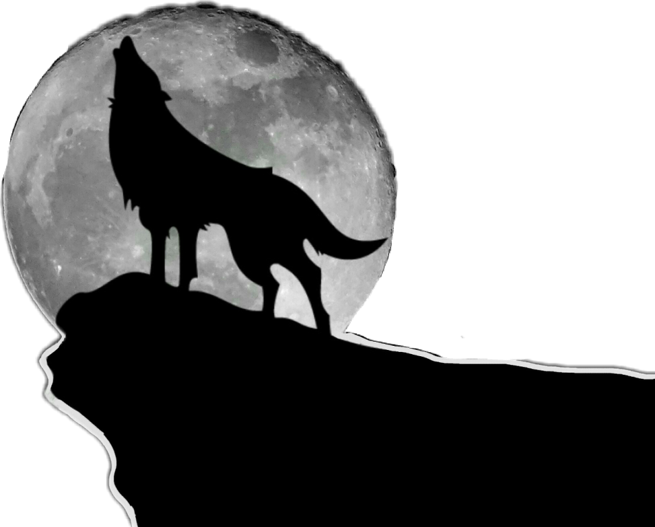 a wolf standing on top of a hill in front of the moon