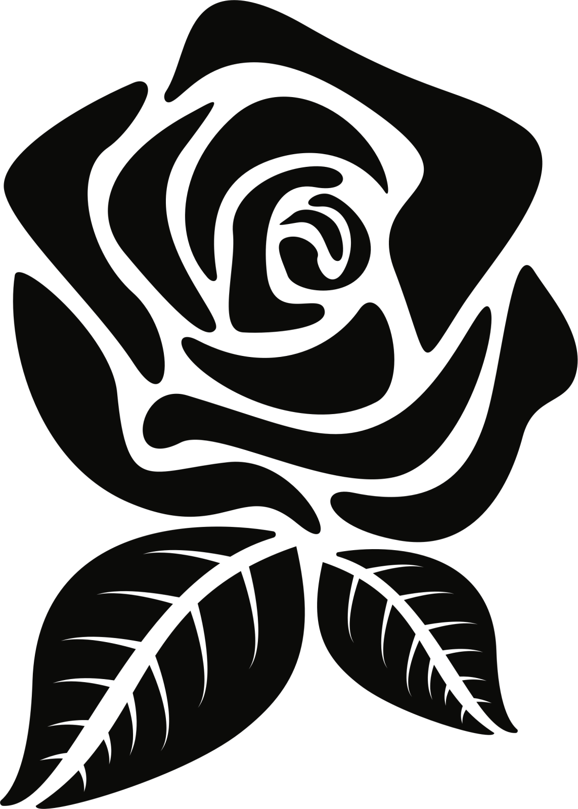 a black and white rose with leaves
