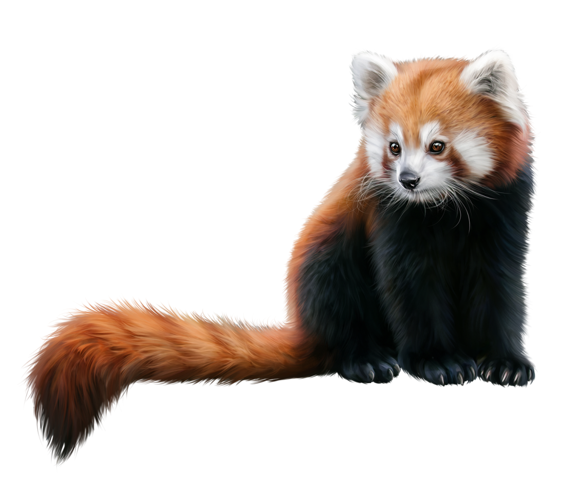 a painting of a red panda sitting down