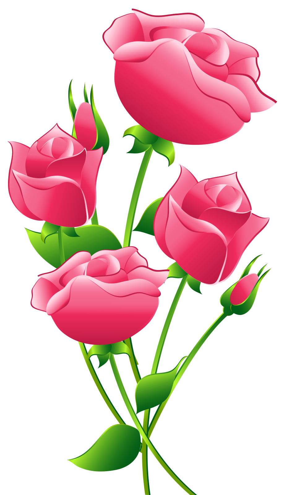 a bunch of pink roses with green leaves