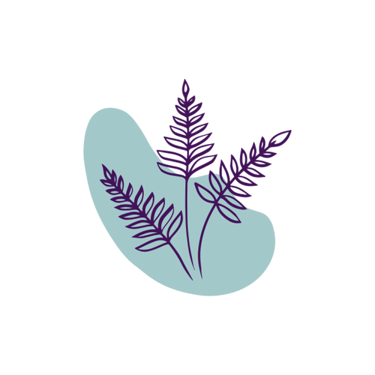 a plant with purple leaves on it