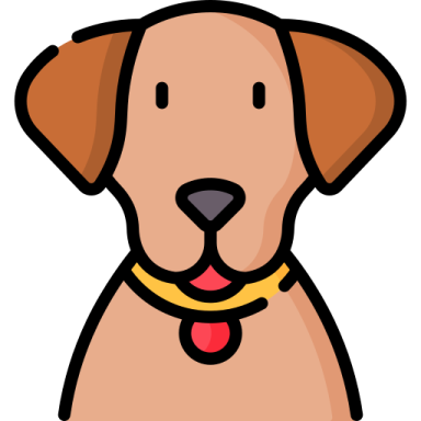 a brown dog with a yellow collar