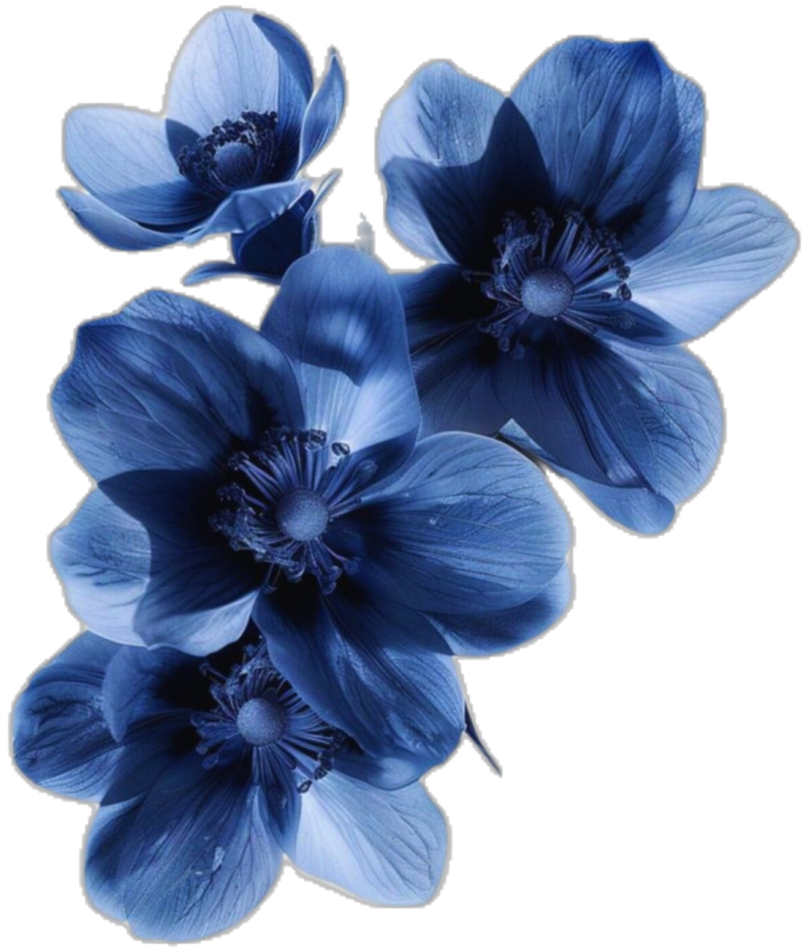 blue flowers on a white background