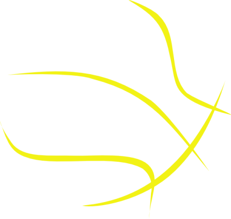 a black and white drawing of a bird