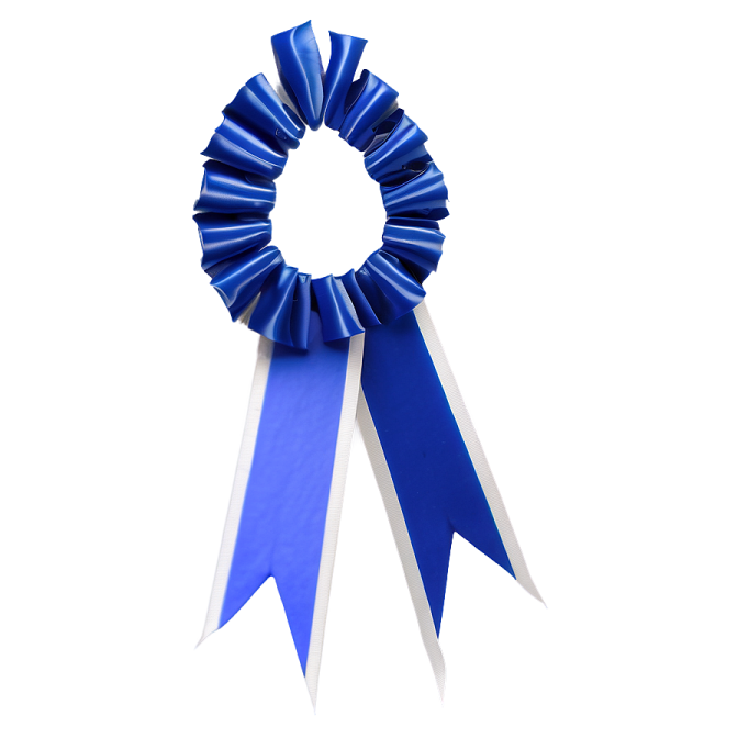 a blue ribbon on a white background