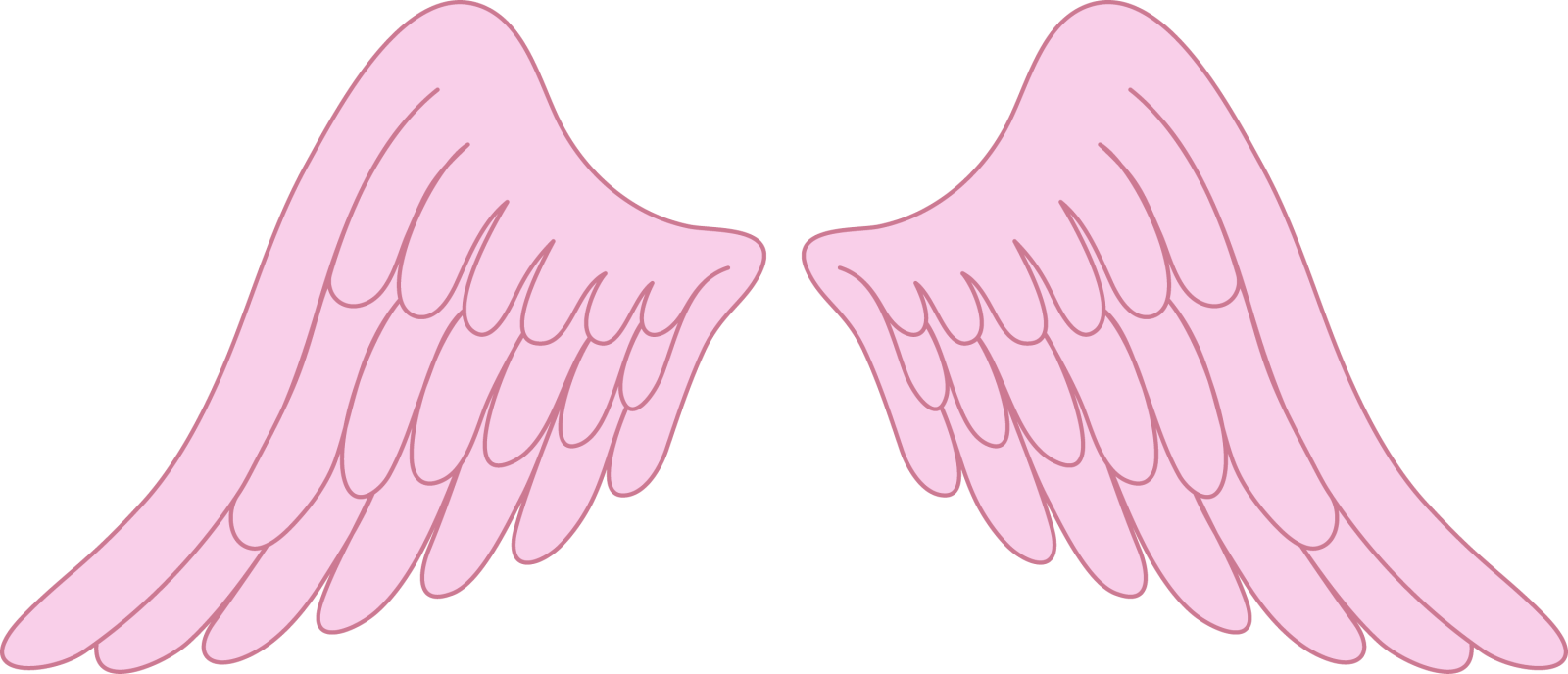 a pair of pink angel wings