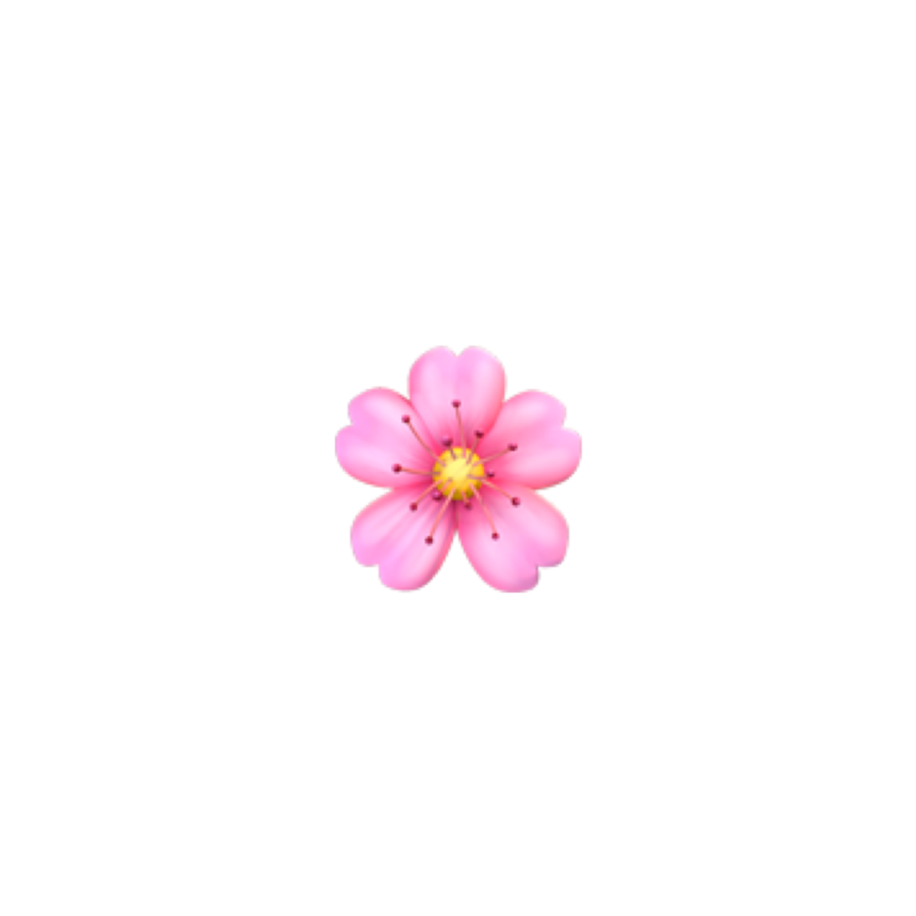 a pink flower on a white background