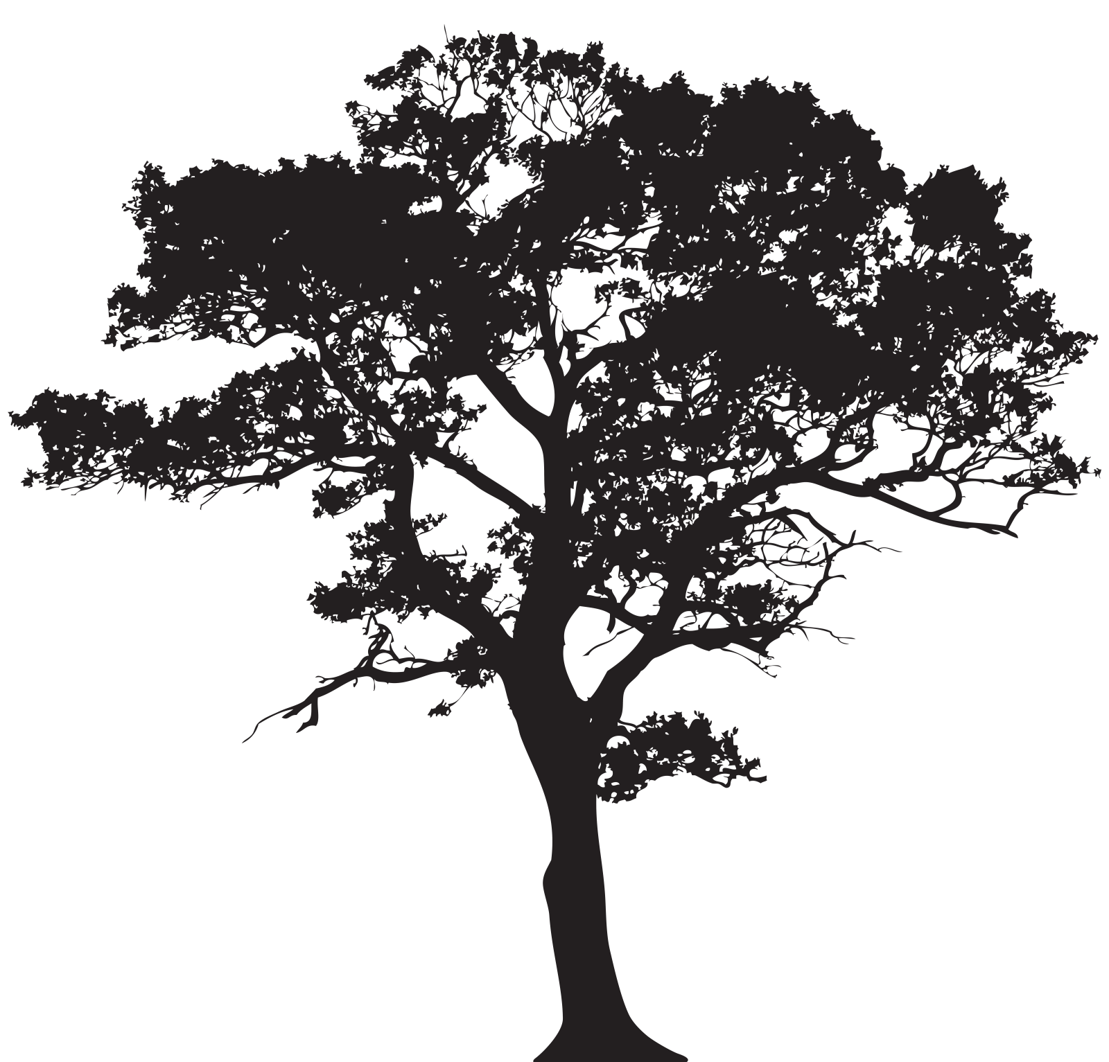 a black and white silhouette of a tree