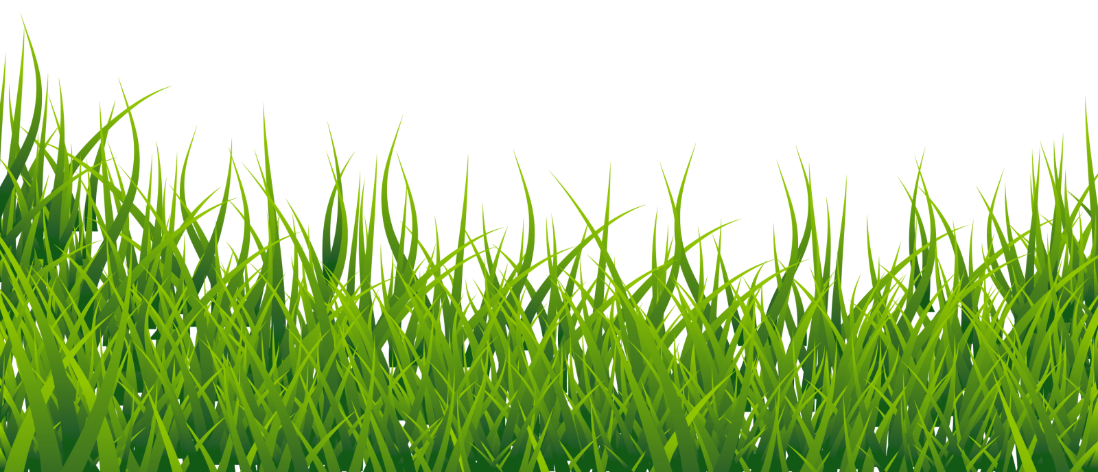 a green grass background