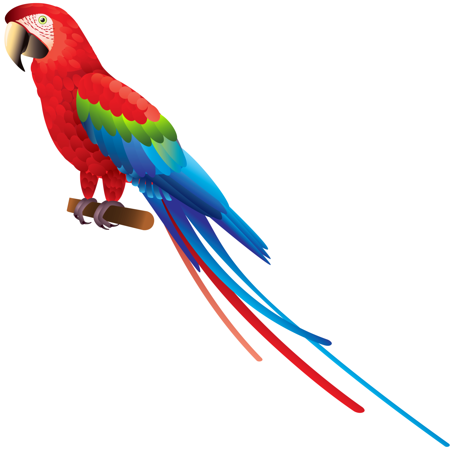 a red and green parrot perched on a branch