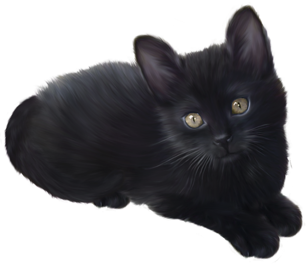 a black cat with yellow eyes laying down