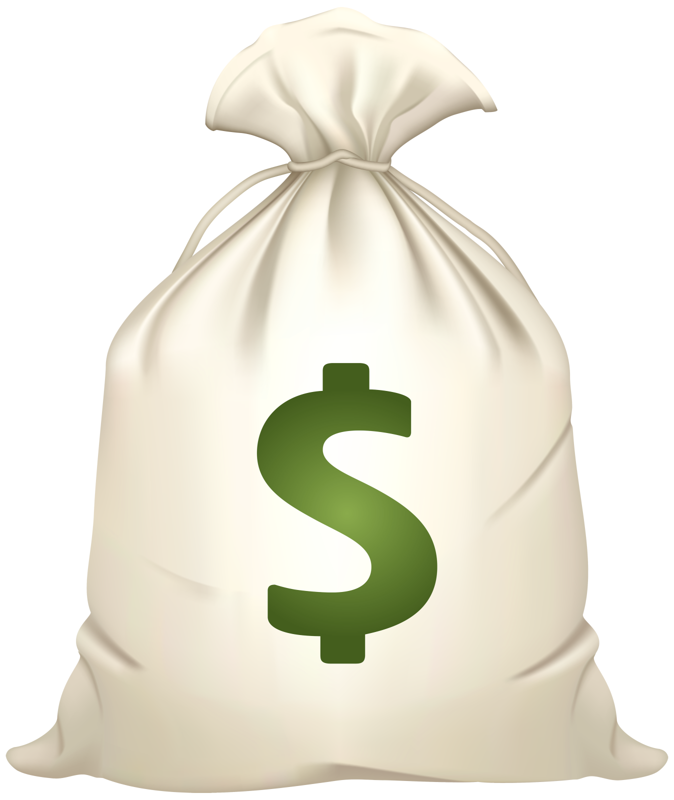 a bag with a dollar sign on it