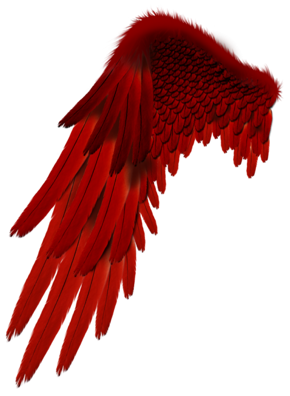 the wings are red