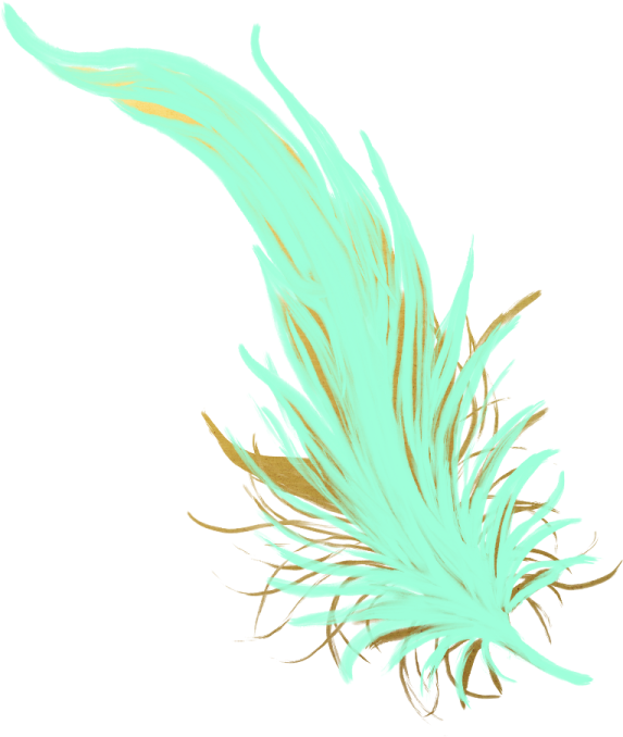 a green feather on a white background