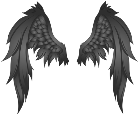 two black wings on a white background